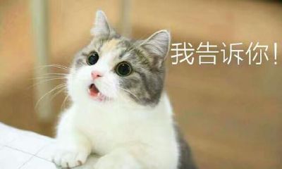 龙女塔罗951218（塔罗占卜他还会联系你吗）