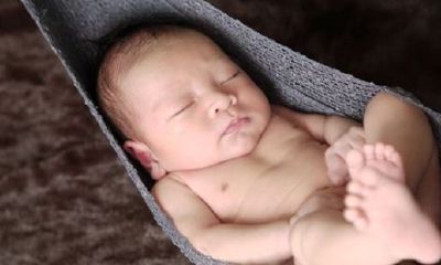 禾的五行属性是什么字（禾字旁五行属火的字）