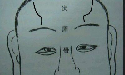 伏羲骨女人面相（长伏羲骨的男人面相）