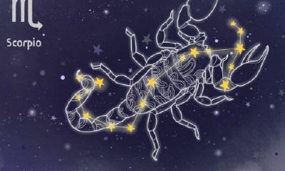 天蝎座大男子主义（天蝎男会强行占有身体）