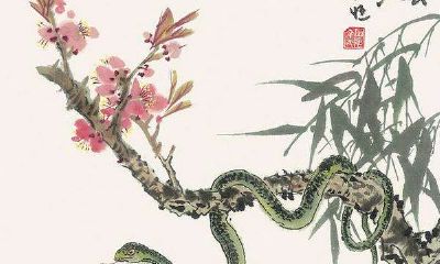 1994属狗女最佳结婚年龄（属狗1994一生有几次婚姻）