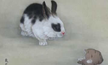 十二属相败月生最不好（属相哪个月的犯月最严重）