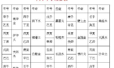 甲午纳音五行属什么（纳音看年柱还是日柱）