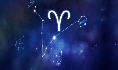 白羊女魅力值（白羊女强大吸引力在哪）