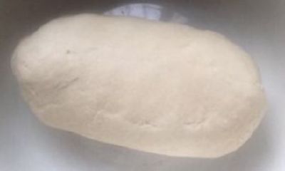 巴图吉日嘎拉警察（摔跤手巴图吉日嘎拉）