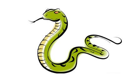 属蛇人智商极高（属蛇的为什么那么漂亮）