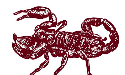 摩羯座恋爱性格特点（天蝎座女生性格特点）