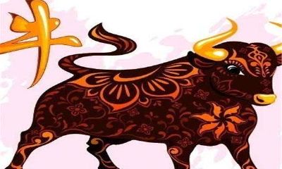 73年属牛的女人幸运数字是多少（1973年属牛女的幸运数字和颜色）