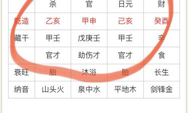 1995年属猪男一生坎坷（95年属猪什么时候遇到正缘）