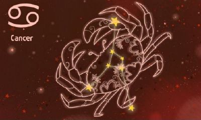 处女座男生撩人的话（双鱼座男生话很少吗）