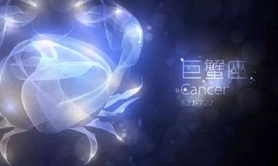 处女座谎话连篇（双鱼座谎话连篇）