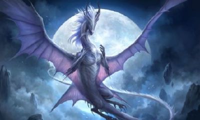 1977年属蛇今年多少岁了（1977年属蛇的是什么命）