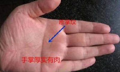 手相怎么看另一半长相（聪明至极的手相）