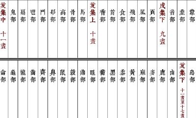 十一画五行属火的字及寓意（五行属火十一画最吉利的字）