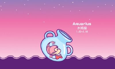 你说可惜我是水瓶座（可惜我是水瓶座讲的是什么）