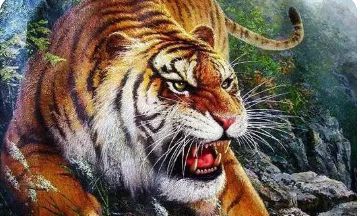 20231月农历属相（属马几月命苦）