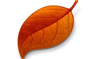 土象和风象星座共同点（风象水象土象火象星座特点）