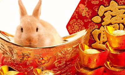 哪一年是兔的本命年（九几年属兔的是哪一年）