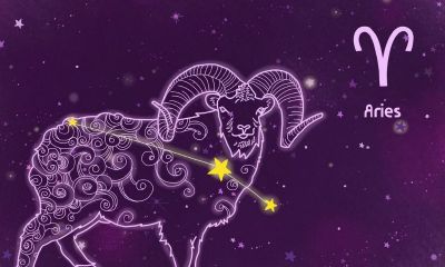 白羊座和狮子座年龄差15（狮子座和射手座）