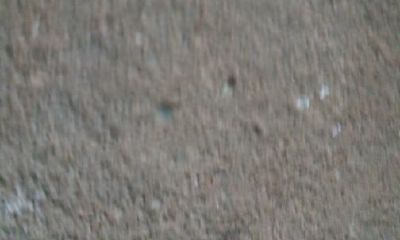 哪些生肖不适合本命年结婚（本命年结婚好吗）