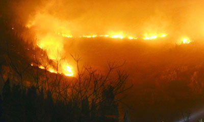 壁上土命五行缺木缺火（五行土旺缺木缺火如何化解）