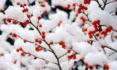 易经预测2023年至2026年气候变化（易经预测2023年年运）