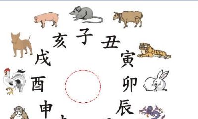 十二生肖的简单介绍（中国十二生肖的象征意义）