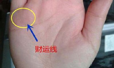 手相感情线和事业线连在一起（手掌比手指长的女生命运）