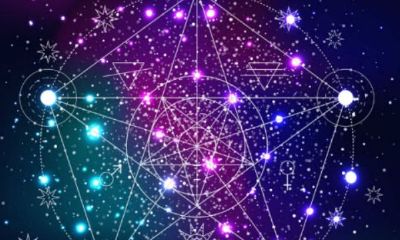 陶白白说摩羯座是不是恋爱脑（陶白白口中的摩羯座）