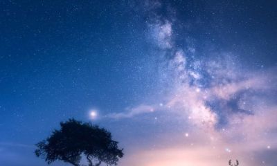 金牛座四月适合跳槽吗（4月和5月金牛男性格）