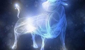 金牛座喜欢一个人会不联系吗（金牛座男生喜欢一个人的表现）