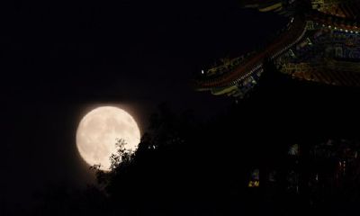 水瓶女在等表白的暗示（水瓶女对喜欢的人态度）