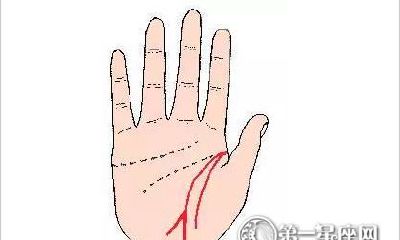 财运线很长连到生命线图解（手掌哪条是财运线）