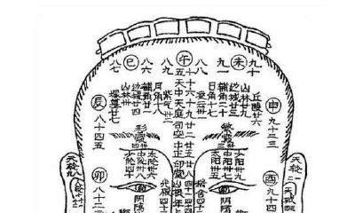 面相基础入门书（面相初学者看什么书）