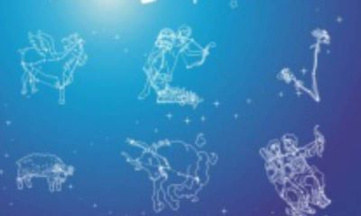 星座是一个什么效应（6月是什么星座）