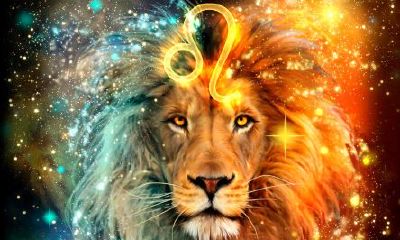 如何网上撩狮子座男（狮子座男生难撩吗）