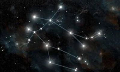 双子座太迷人了（双子座的眼神）