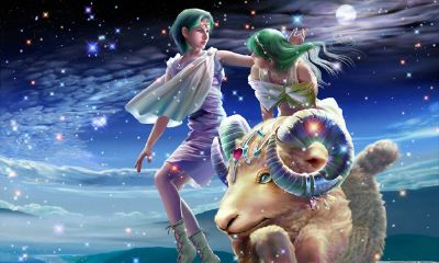 白羊座是什么品种的羊（白羊座是绵羊还是山羊）