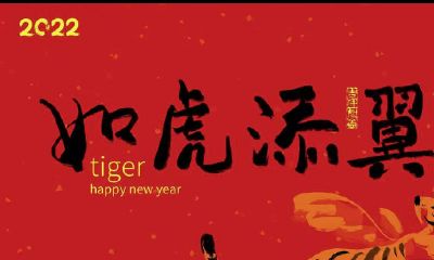 2023年一个轮回（2023虎年下一年是什么年）