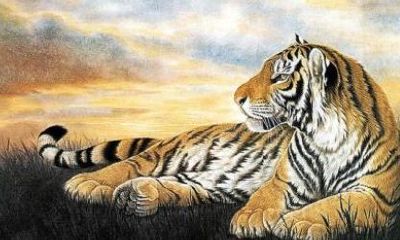 属虎一生幸运色（属羊的幸运色是什么颜色）