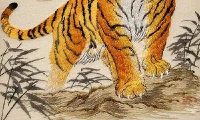 本命年的人为什么要躲星星（2023年属虎躲星）