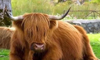 女命能考上公务员的八字（在线测八字看长相美丑）