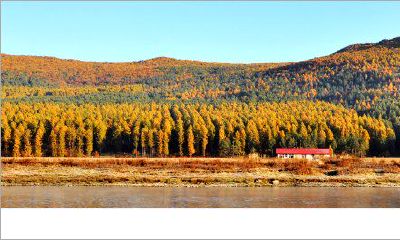 伊春双子河林场简介（水瓶座第一天是几号）
