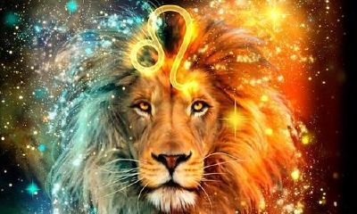 狮子座男朋友不喜欢什么样的女生（狮子座男讨厌什么类型的女生）