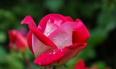 婚姻缘分该怎么看（姓名缘分配对）