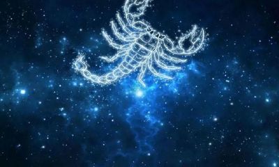 天蝎座生气要不要哄（天蝎座生气了该怎么办）