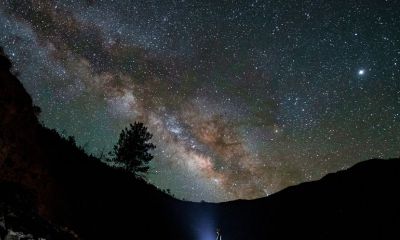 温和的狮子座（狮子座的温柔）