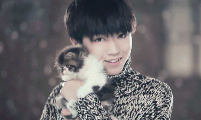 金牛座和其他星座谈恋爱的几率（12星座各是什么王）