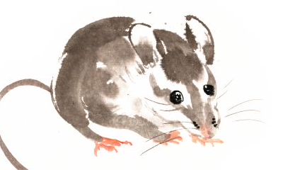 96年8月的鼠和什么属相配（属鼠的和属虎的配吗）