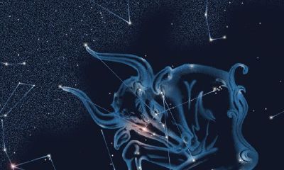 摩羯座为什么不愿意公开恋情（摩羯座不配拥有爱情吗）